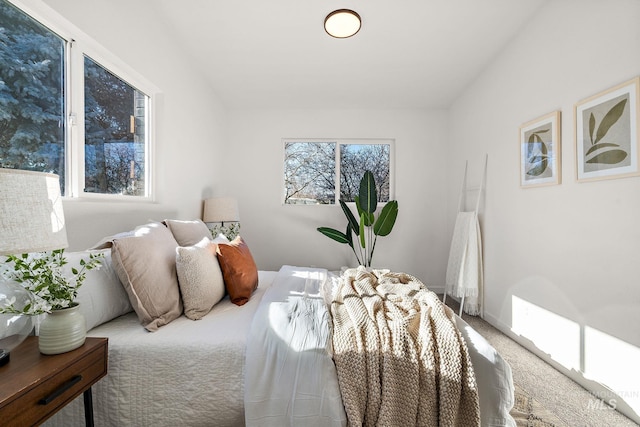 bedroom featuring carpet