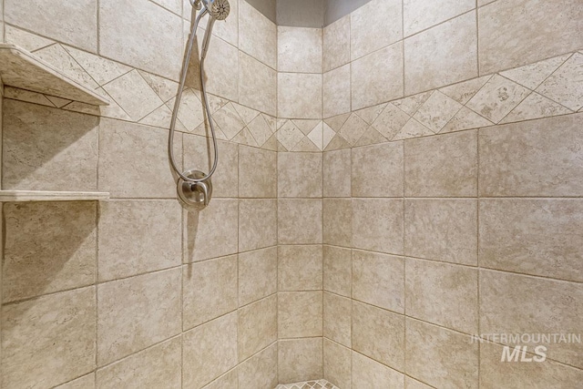 1928 E Mountain Man Dr, Meridian, ID 83646 - details with a tile shower