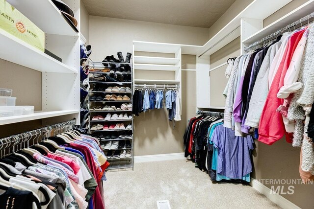 1928 E Mountain Man Dr, Meridian, ID 83646 - spacious closet with carpet floors