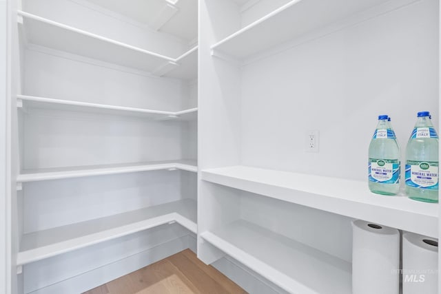 8456 W Meltwater Ln, Eagle, ID 83616 - view of storage area