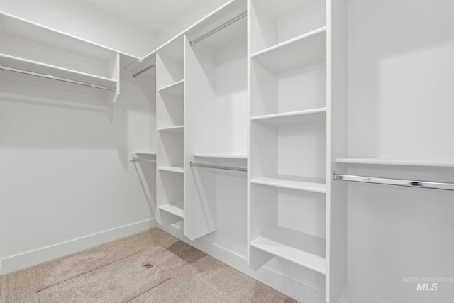 8456 W Meltwater Ln, Eagle, ID 83616 - walk in closet with carpet flooring