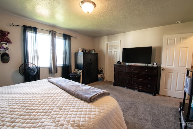 8340 E Expedition, Nampa, ID 83687 - bedroom with carpet and a textured ceiling