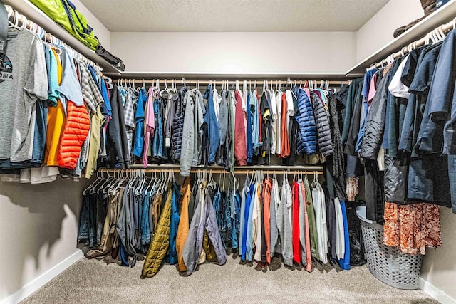 walk in closet with carpet floors