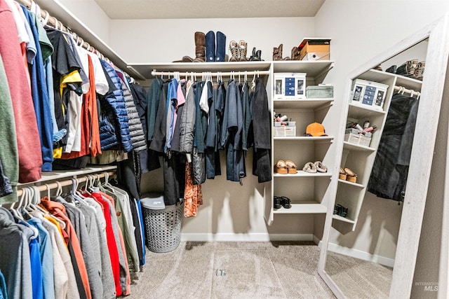 spacious closet featuring carpet