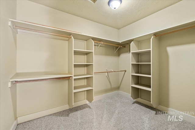 568 S Wooddale Pl, Eagle, ID 83616 - walk in closet with carpet