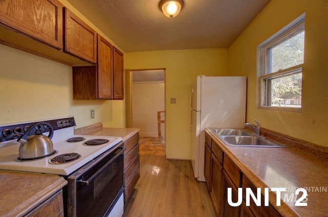 kitchen with brown cabinetry, freestanding refrigerator, a sink, electric stove, and light wood-type flooring