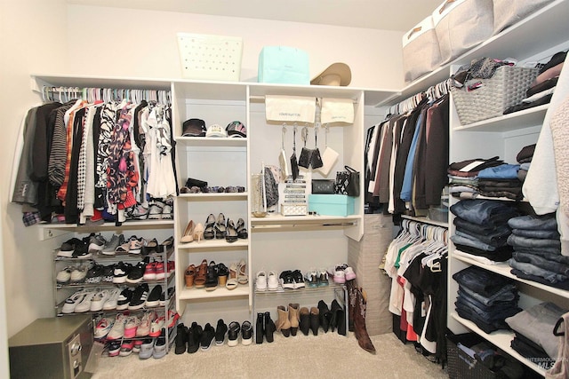 520 S Prospector Ln, Eagle, ID 83616 - spacious closet featuring carpet flooring