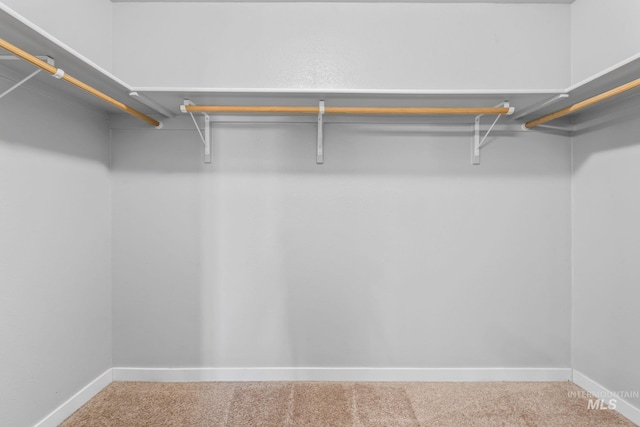 walk in closet with carpet