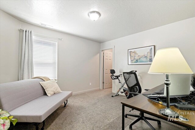 office featuring light colored carpet, baseboards, and a textured ceiling