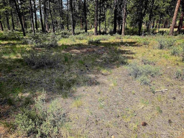 TBD Victory Ln, Lowman, ID 83637