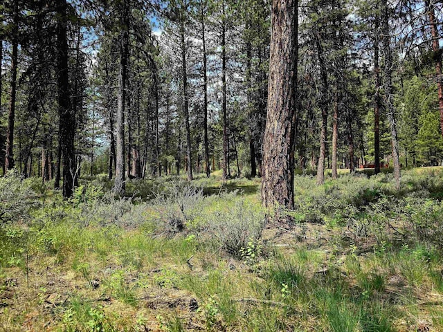 TBD Victory Ln, Lowman, ID 83637