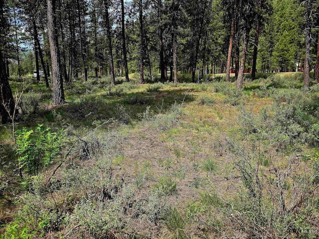 TBD Victory Ln, Lowman, ID 83637