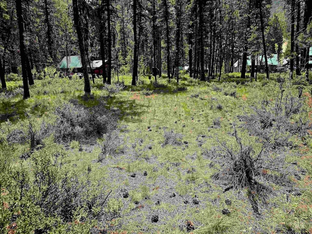TBD Victory Ln, Lowman, ID 83637