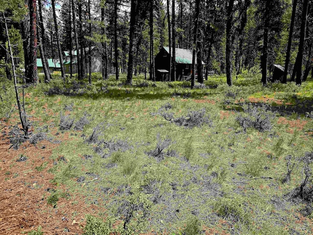 TBD Victory Ln, Lowman, ID 83637