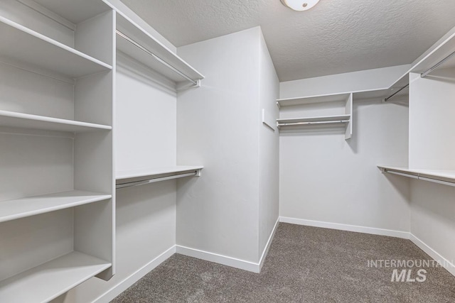 spacious closet featuring dark colored carpet