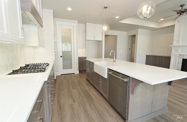 4658 S Hennessy Ave, Meridian, ID 83642 - kitchen with a sink, light wood-style floors, wall chimney exhaust hood, a ceiling fan, and appliances with stainless steel finishes