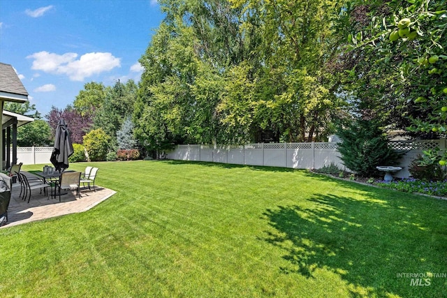 view of yard with a patio