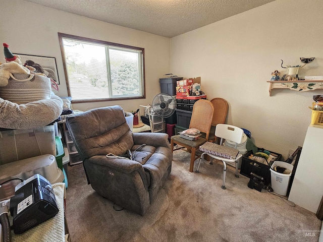 409 Garfield St, Asotin, WA 99402 - sitting room featuring carpet floors and a textured ceiling