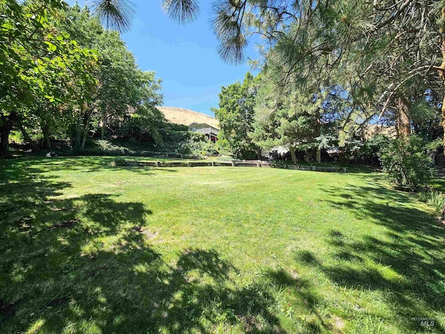 409 Garfield St, Asotin, WA 99402 - view of yard