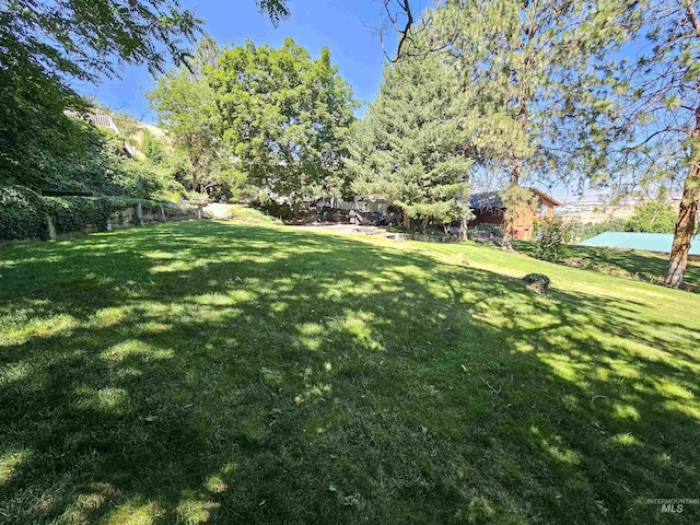 409 Garfield St, Asotin, WA 99402 - view of grassy yard