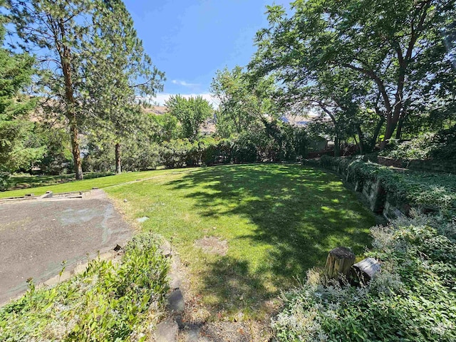 409 Garfield St, Asotin, WA 99402 - view of grassy yard