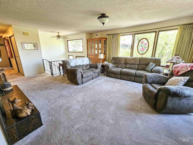 409 Garfield St, Asotin, WA 99402 - living room with carpet, a textured ceiling, and a ceiling fan