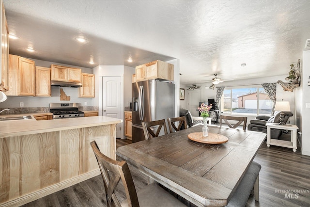 dining space featuring sink, dark hardwood / wood-style flooring, a textured ceiling, and ceiling fan