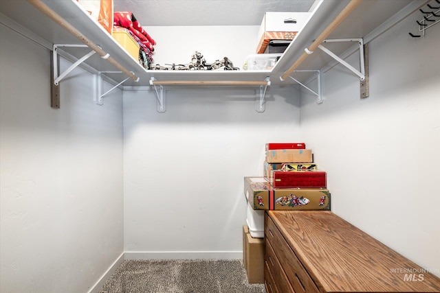 walk in closet with carpet flooring