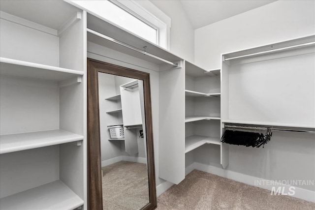 6811 W Los Flores Dr, Meridian, ID 83646 - spacious closet with carpet flooring