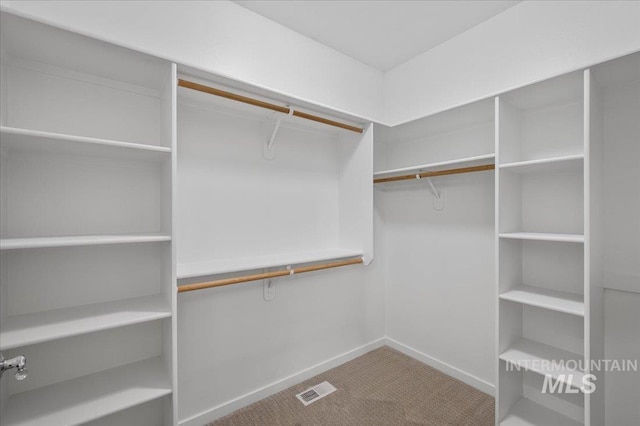 66 W Colchester Dr, Eagle, ID 83616 - spacious closet with carpet floors
