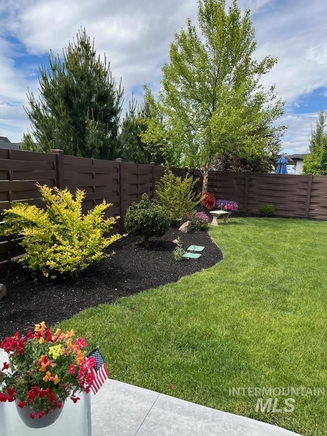 view of yard featuring a fenced backyard