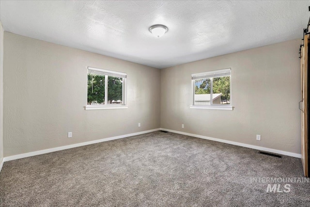 180 E Elmore, Richfield, ID 83349 - spare room featuring a barn door, plenty of natural light, carpet flooring, and a textured ceiling
