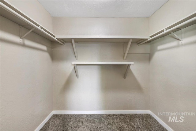 180 E Elmore, Richfield, ID 83349 - spacious closet with carpet floors