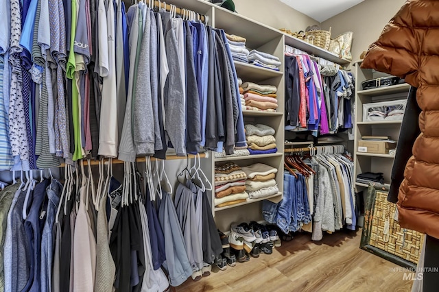 walk in closet with wood finished floors