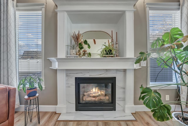 room details with a fireplace, wood finished floors, and baseboards