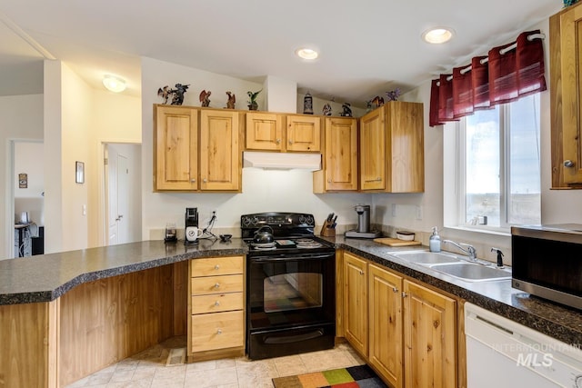 11755 E Cleft Rd, Mountain Home, ID 83647 - kitchen featuring black electric range, a sink, under cabinet range hood, dishwasher, and stainless steel microwave