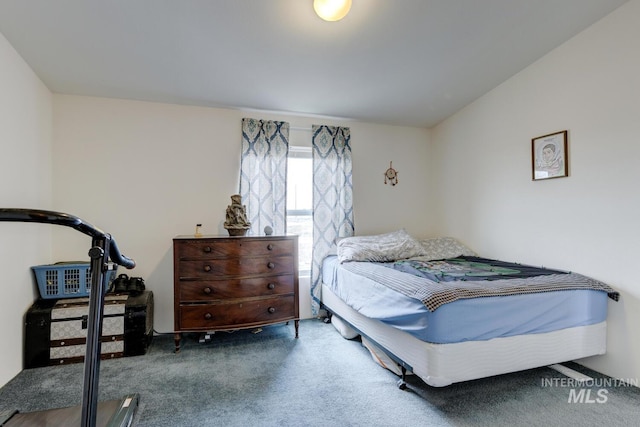 11755 E Cleft Rd, Mountain Home, ID 83647 - bedroom featuring carpet floors