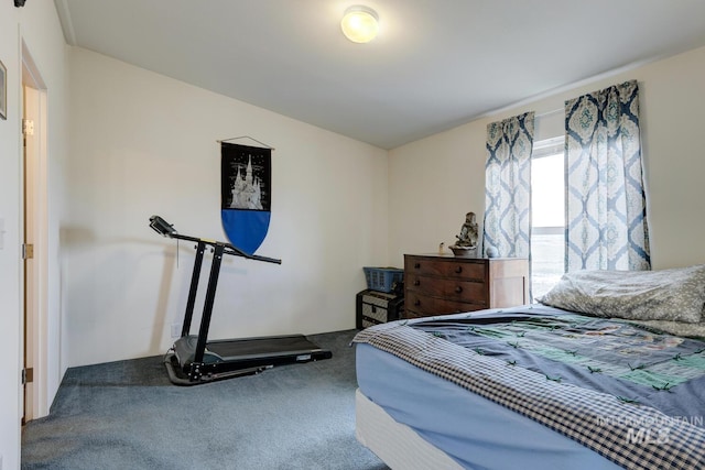 11755 E Cleft Rd, Mountain Home, ID 83647 - bedroom with carpet floors