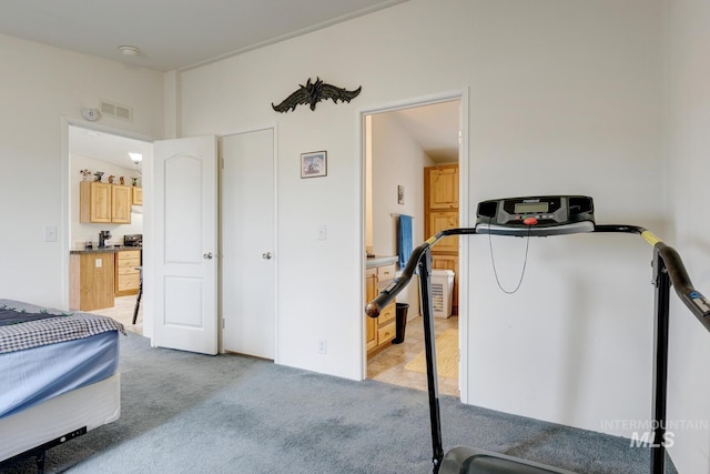 11755 E Cleft Rd, Mountain Home, ID 83647 - bedroom with light carpet