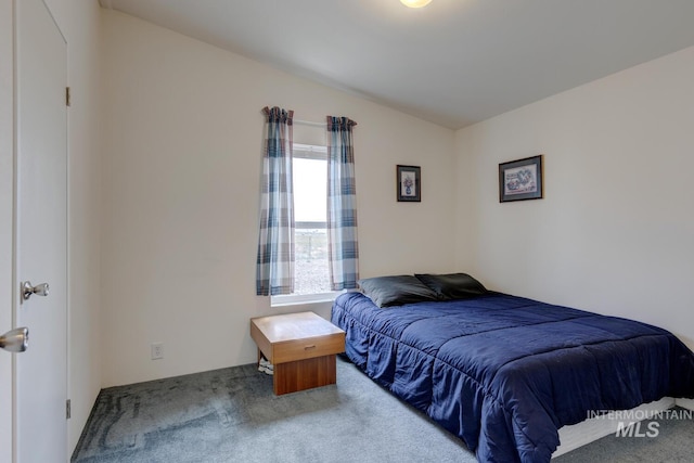 11755 E Cleft Rd, Mountain Home, ID 83647 - view of carpeted bedroom