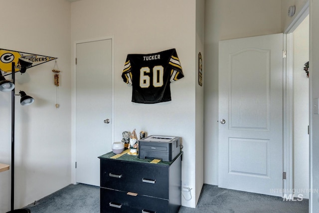 11755 E Cleft Rd, Mountain Home, ID 83647 - hallway with carpet