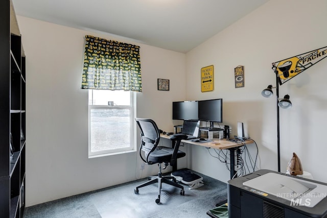 11755 E Cleft Rd, Mountain Home, ID 83647 - office area with carpet floors