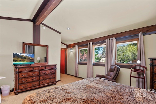 101 Minot St, Middleton, ID 83644 - bedroom featuring carpet