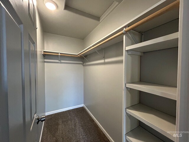 spacious closet with carpet floors