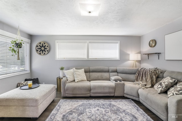 168 W Heyburn Ave, Twin Falls, ID 83301 - living area with plenty of natural light, wood finished floors, and a textured ceiling