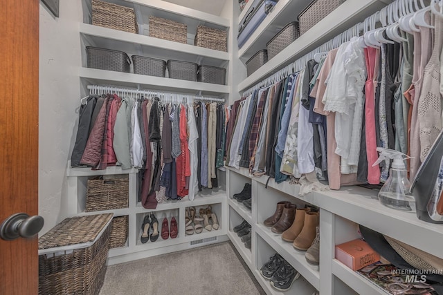 spacious closet featuring carpet flooring