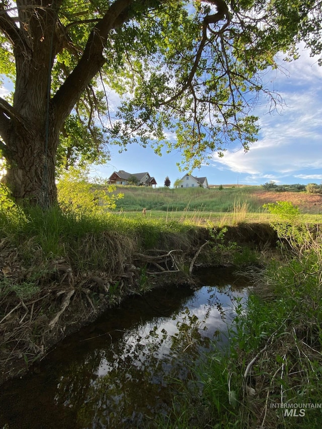 view of nature