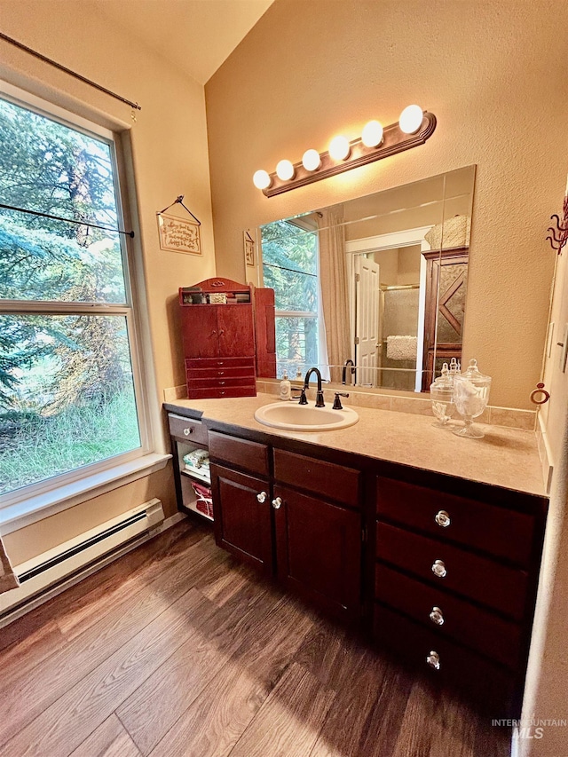 76 Rogers Ln, Mccall, ID 83638 - bathroom with vanity, healthy amount of natural light, vaulted ceiling, wood finished floors, and baseboard heating