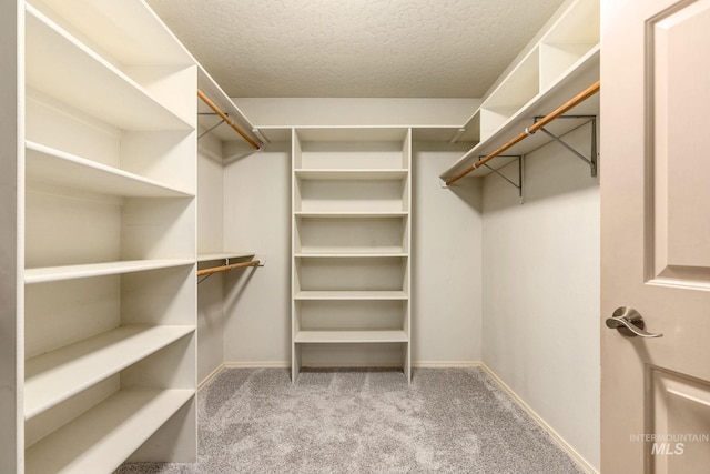 4335 W Quail Ridge Dr, Boise, ID 83703 - spacious closet featuring carpet floors