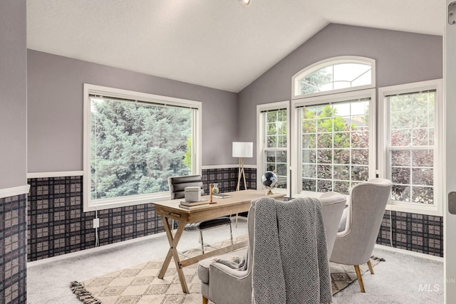4335 W Quail Ridge Dr, Boise, ID 83703 - office area with wainscoting, vaulted ceiling, and carpet floors